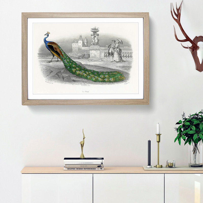 Admiring a Peacock - Picture Frame Painting Print, Oak Framed, 36cm H x 48cm W x 2cm D