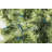 50.5' 100-Light String Lights-31889551