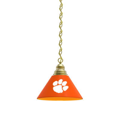 1 - Light Single Pendant