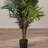 Thisbe 60'' Faux Palm Tree in Pot