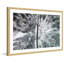 Karolis Janulis - Single Picture Frame Print-1678053475