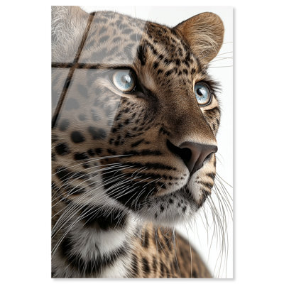 «Leopard Gaze», reproduction d'art acrylique encadrée par Notoriart, cadre argenté, H 16 po x l 11 po