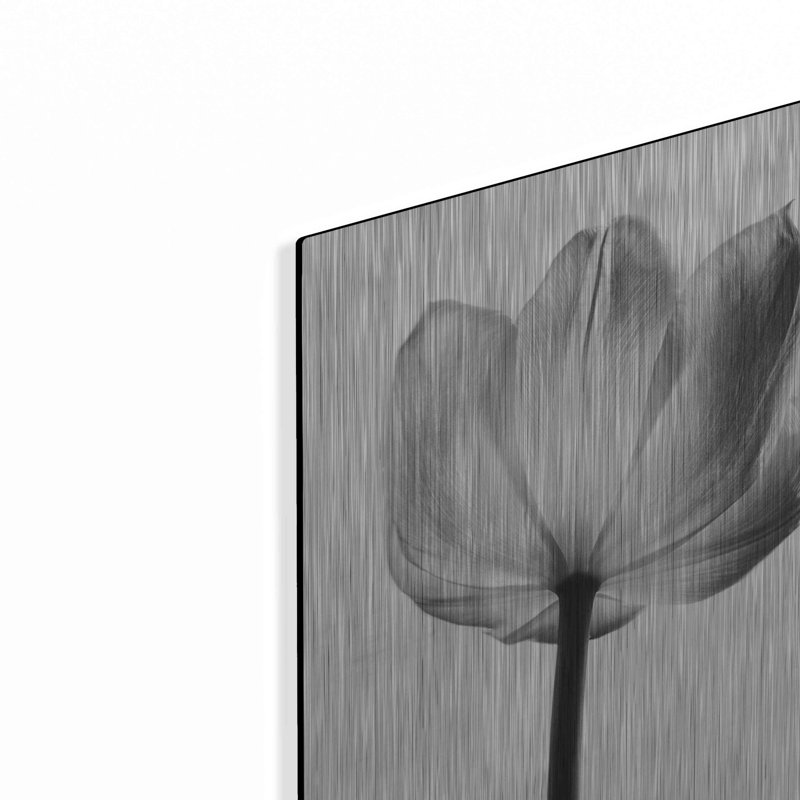 «Translucent Tulips I» par Debra Van Swearingen, art mural en métal, 16 po x 24 po, H 16 po x l 12 po