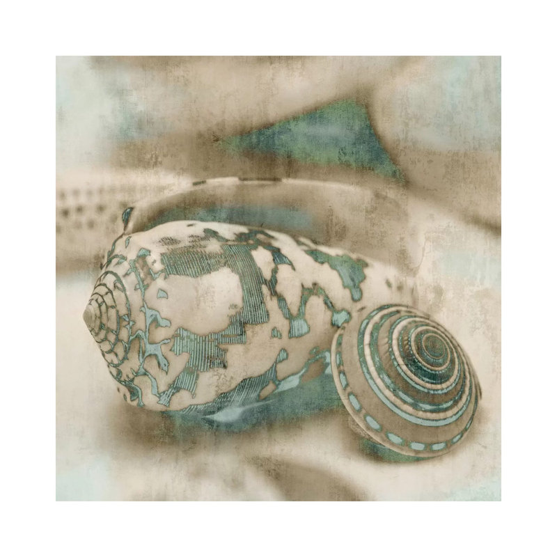 John Seba - Print on Canvas, Wrapped Canvas, 30.48 cm H x 30.48 cm W