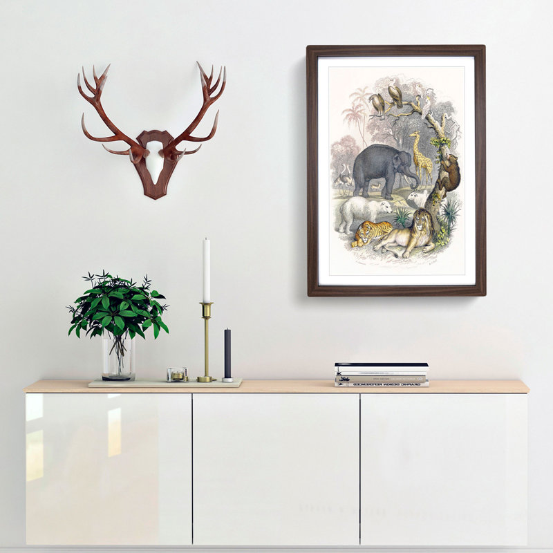 Animal Kingdom Illustration by Oliver Goldsmith - Single Picture Frame Painting, 45cm H x 33cm W x 2cm D, Walnut Framed