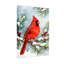 Ensemble de 3 impressions sur toile de Noël cardinal rouge sur une branche de pin enneigée-1360370741