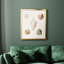 Toile encadrée Pastel Knorr Shells-350724587-350724596