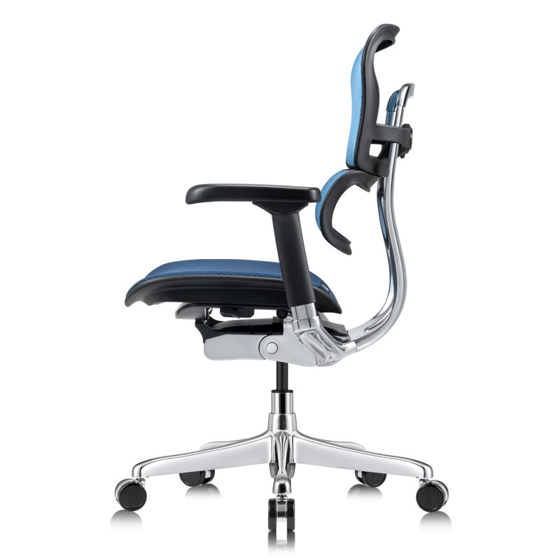 Tempur-Pedic Ergohuman GEN2 Mid Back Ergonomic Office Chair with Tempur-Pedic Seat, Adjustable Arms, Seat Height, Tilt Lock and Lumbar Support, Mesh Back