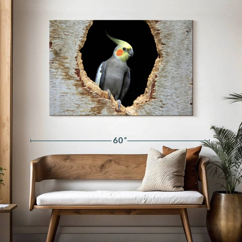 Cockatiel Brampt dans un trou, H 32 po x l 48 po