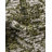 Valerie Oriental Indoor / Outdoor Rug-1623460780