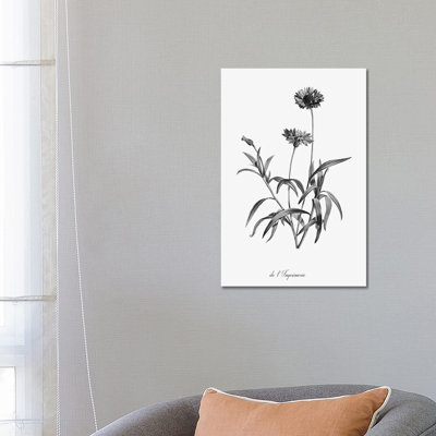 Simply Imperial by Kelly Donovan - Wrapped Canvas Painting