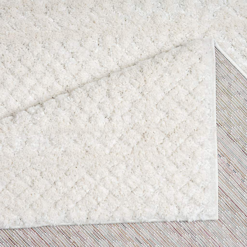 Navdia Rectangular 160 X 230cm Area Rug