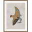 Night Bird 1 Print by Nathan Turner