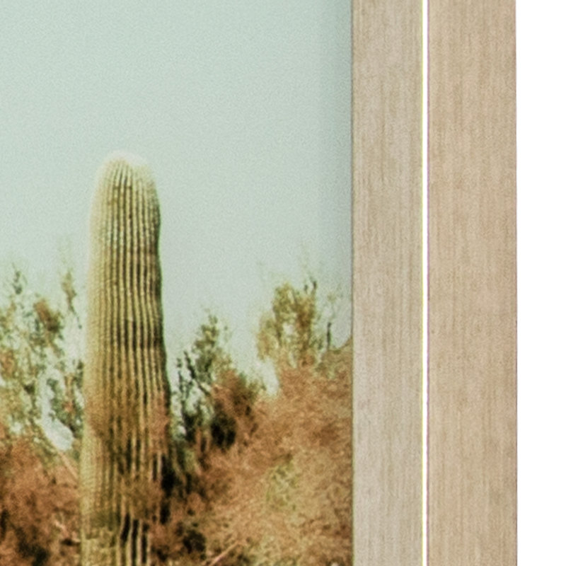 «Saguaro», reproduction de photo sur verre encadrée