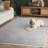Platinum Performance Rug-1438456146