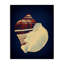 "Fibre conque sur toile bleue" par Graffi * Tee Studios-341759042