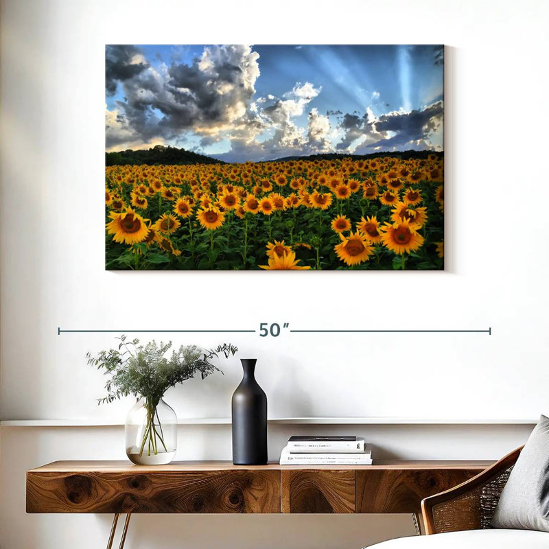Alvord Tuscan Sunflower Field, 26" H x 39" W
