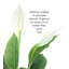 Plante artificielle en pot