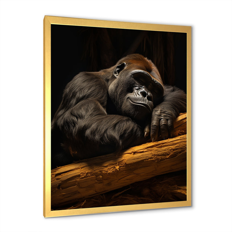 Gorille de la sieste sur toile, H 20 po x l 12 po x P 1 po, Cadre doré simple
