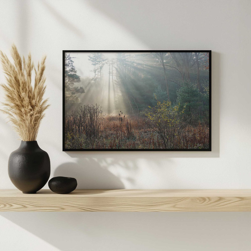 «The Sunlight Above» par Lori Deiter, reproduction d'art, Brun, L 12 po x H 8 po, Impression encadrée