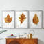 Étude de feuilles d'automne I - Impression sur mesure encadrée de qualité supérieure - 3 pièces