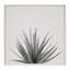 «Sylvie Haze Agave Succulent», toile encadrée par le studio créatif 22 x 22 blanc-660281824