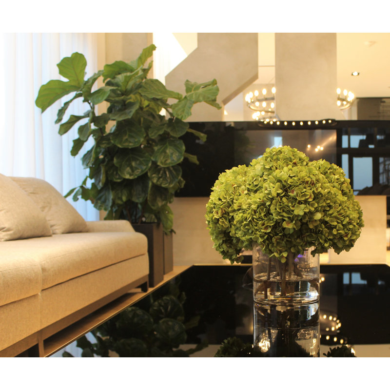White Hydrangeas In Clear Glass Cylinder Vase, Green, 16" H x 18" W x 18" D