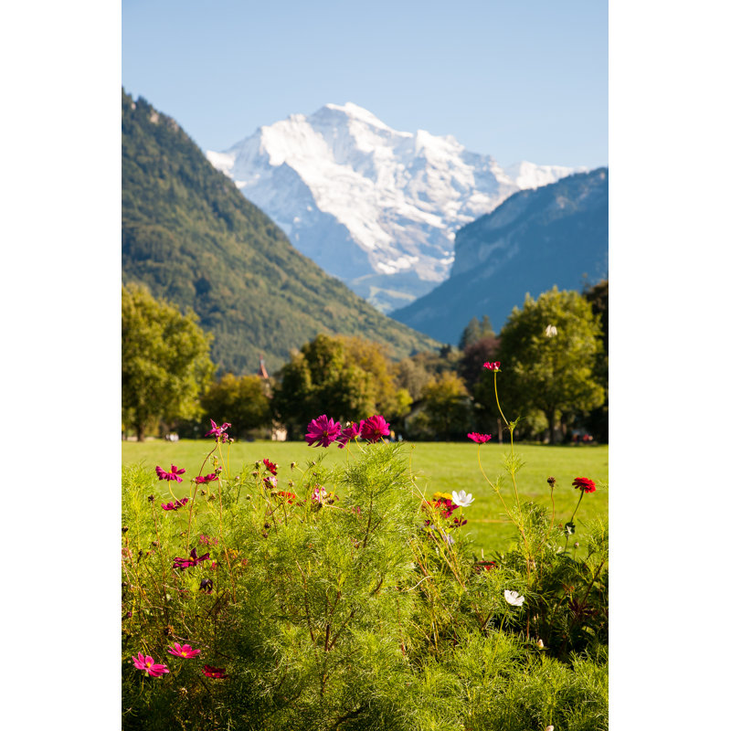 Alps Behind Cosmos by JonghyunKim - Wrapped Canvas Print, 46cm H x 30cm W