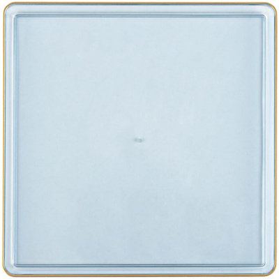 Disposable Dinner Plate