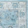 Delmer Performance Oriental Rug