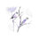 " Watercolor Birds on a Branch " Watercolor Painting