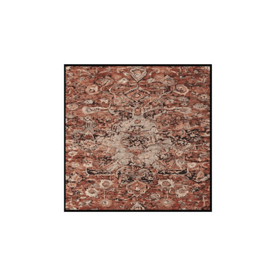 Machine Washable Brown Area Rug