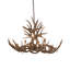 Rustic Lodge 10 - Light Chandelier