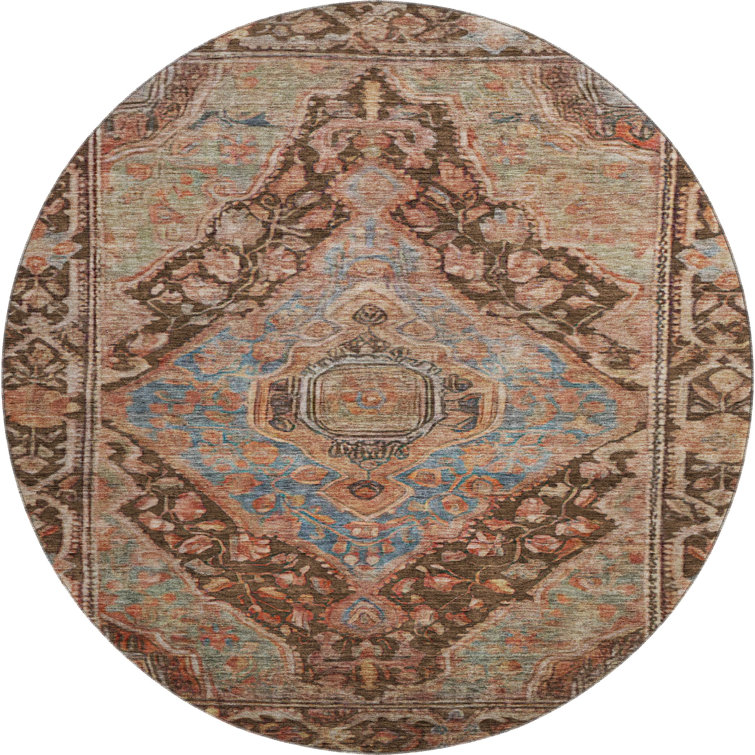 Premium Machine Washable Lucchesi AMF1761 Border Rug