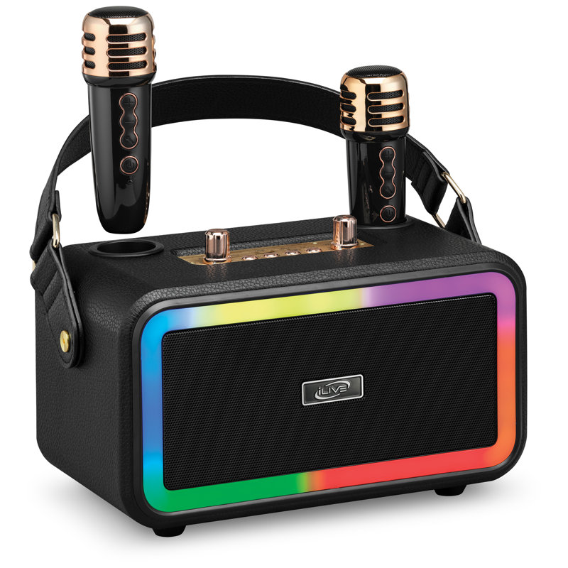 Karaoke+ Wireless Party Machine