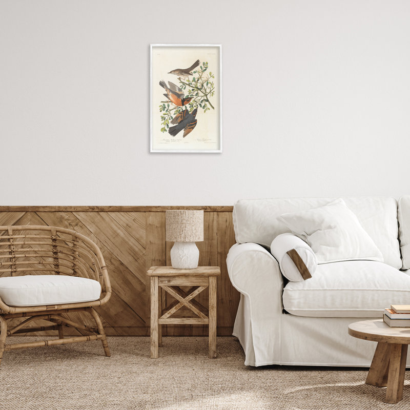 «Classic Audubon Bird Study», art giclée par one1000paintings, H 24 po x l 16 po, Giclée encadrée noir minuit