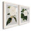 Camellia Japonica I - ensemble de 2 reproductions d'impressions-1902663039-1902889029-1902889030