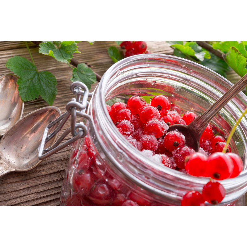 Super Terrine Glass Jar, 350 ml