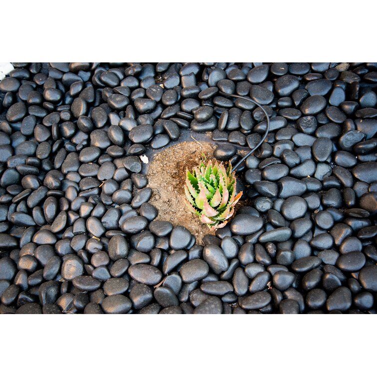Tiny polished stones (4 oz), rock confetti, colorful planter stones, t –  Midwest Shores
