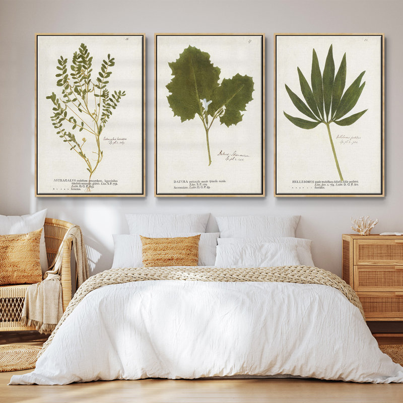 Ensemble de 3 pièces botaniques encadrées sur toile Nature, H 27 po x l 54 po, Bois naturel