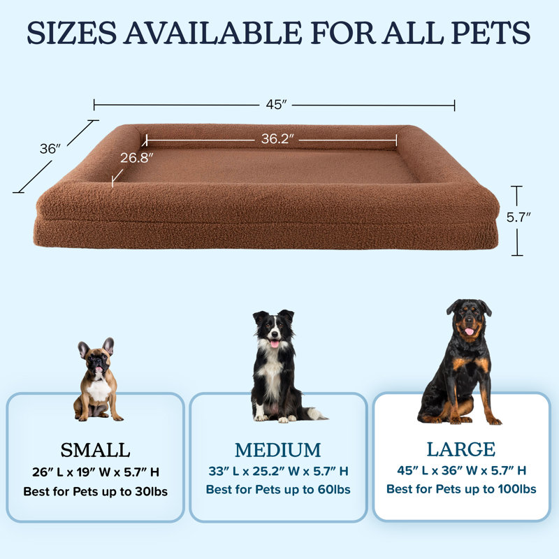 Lit pour chien moyen en PET avec couvercle lavable à la machine PETMAker, H 5,7 po x l 36 po x P 45 po, Brun