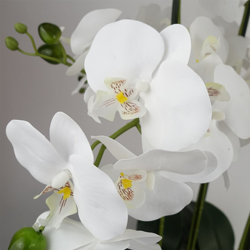 Plastic, Silk Artificial Arrangement in Planter, White, Black
