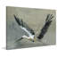 Parvez Taj - Wrapped Canvas Painting-36743684