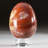 Petrified Wood Egg-124930765-124930745