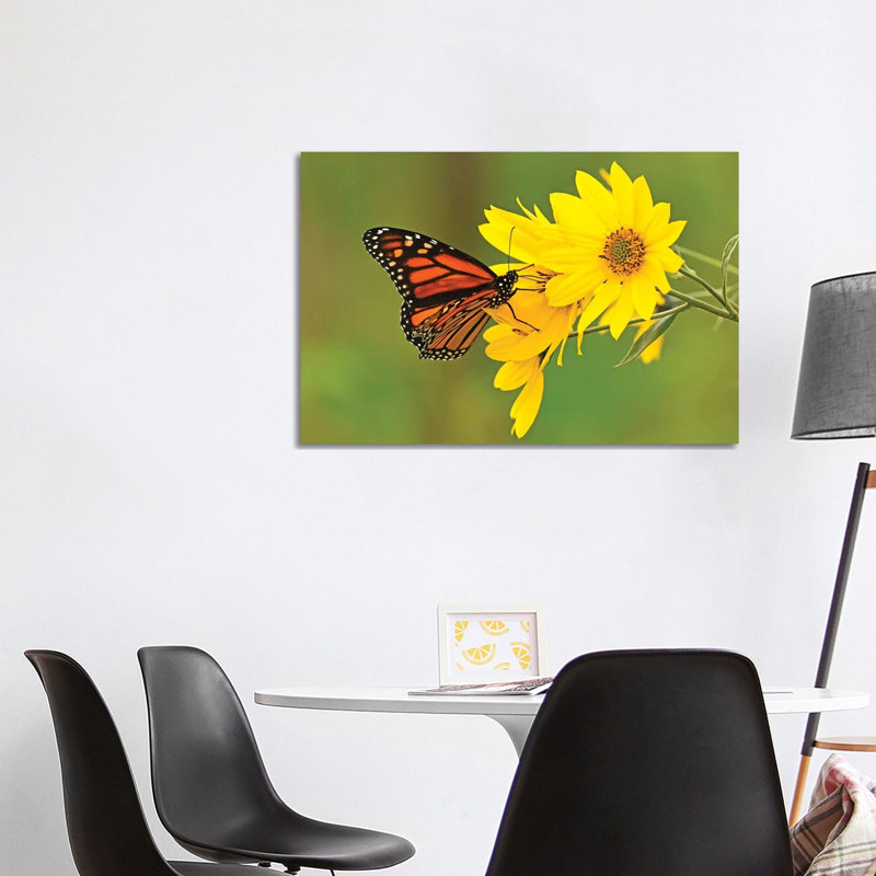 Sitting Pretty by Brian Wolf - Wrapped Canvas Print, 101.6 cm H x 66.04 cm W