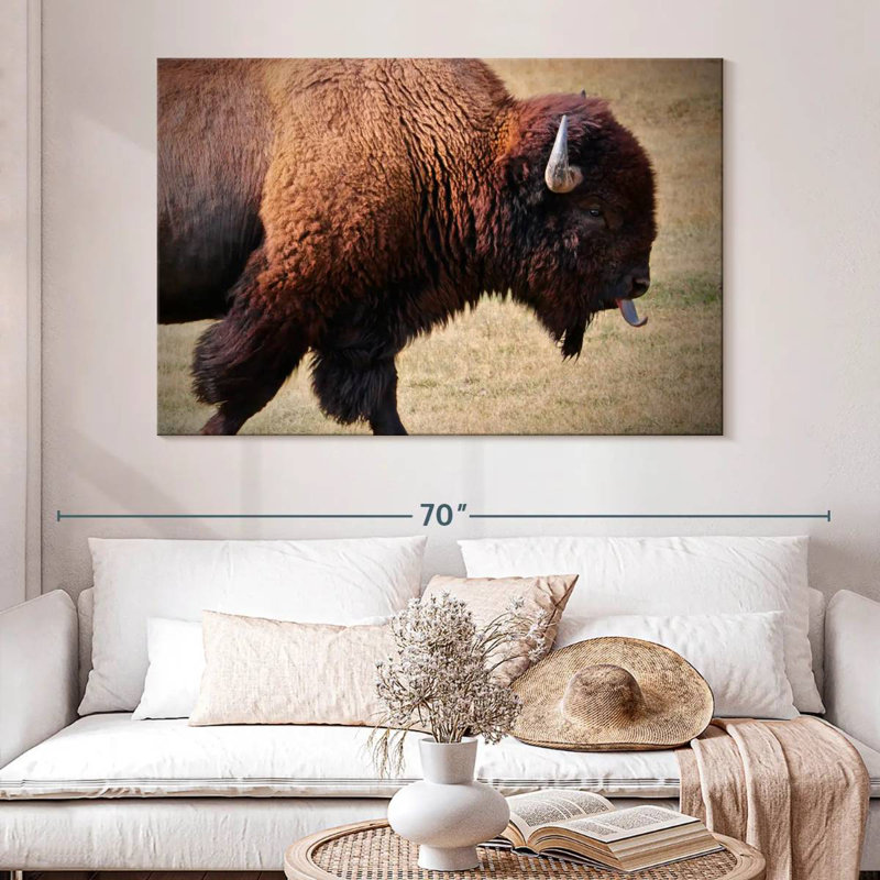 Tongue Wagging Bison, 34" H x 51" W