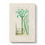 Cactus Illustration - Wrapped Canvas-55304426