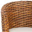 Iraan Rattan Barrel Chair-756271366