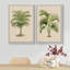 Vert tropical, palmier, illustrations, art moderne, décor botanique minimaliste-101185910-101185907