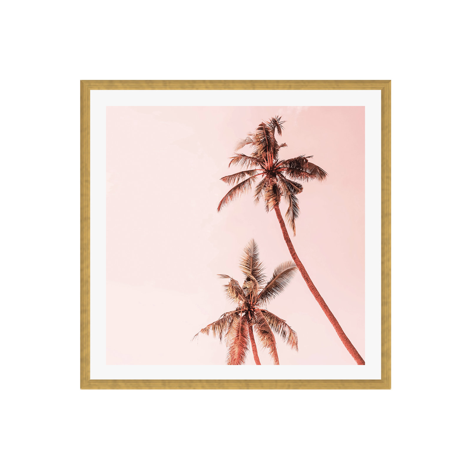 Tulsi "Sunset Palm Trees" Print, 12" H x 12" W x 0.75" D, Yes, Gold Single Picture Framed